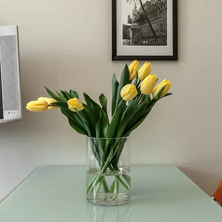 Apartment Milaninflat